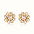Anay Earrings 1